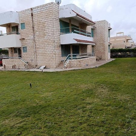 Spacious 5-Bed House In Alamein With Large Garden Majid Abu Zayd Exteriér fotografie